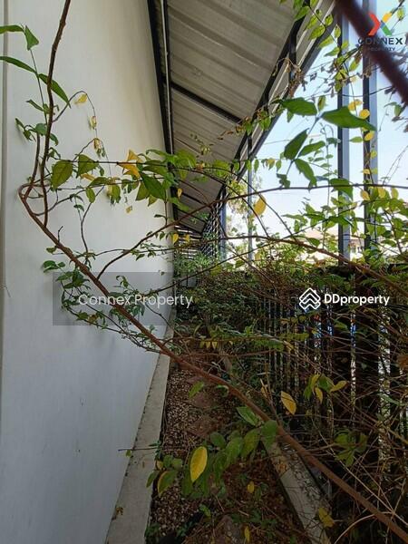 ขาย - Pruksa Ville Petchkasem 91-93 : พฤกษาวิลล์ เพชรเกษม 91-93, สมุทรสาคร