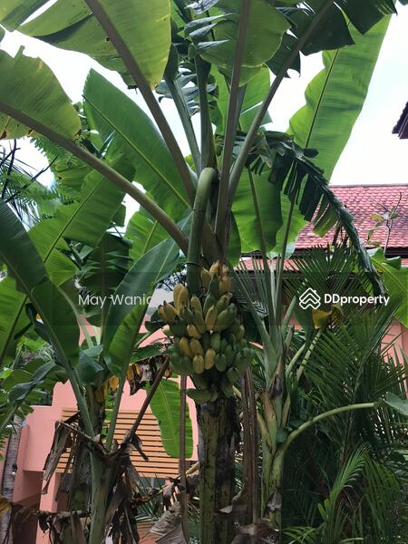 For Sale - Nakatani Village, Phuket