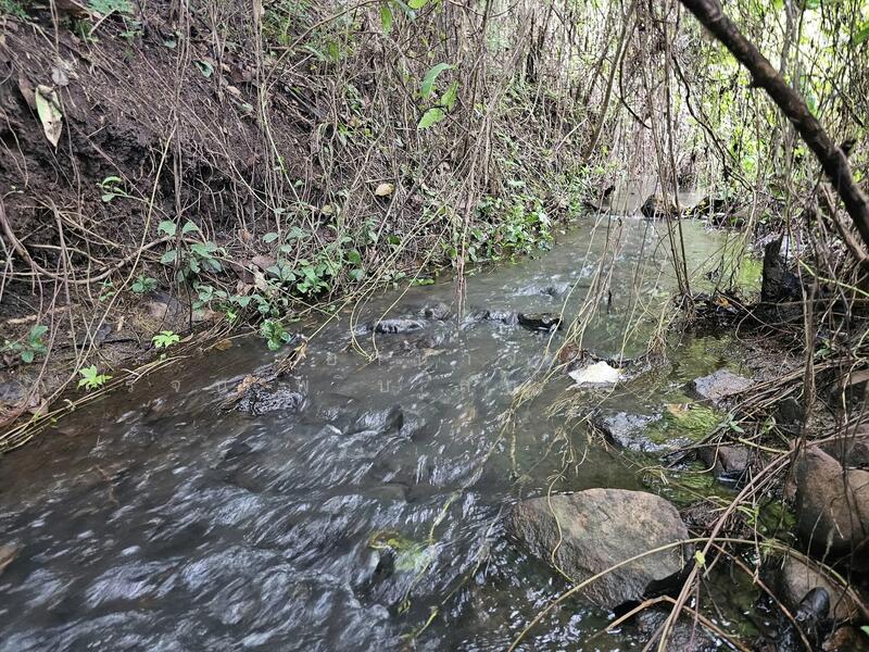 ขายที่ดินเพชรบุรี ติดลำห้วย