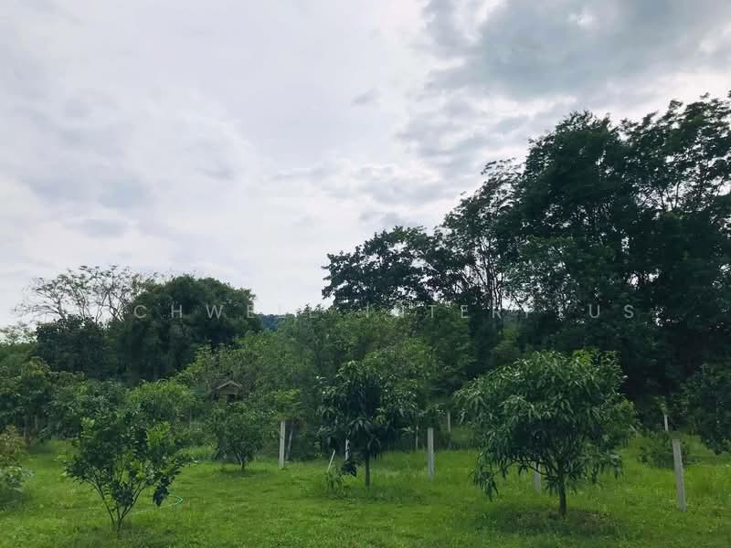 Land for Sale – 110 Sq.w., Filled, Surrounded by Mountain Views, Near Wang Takhrai Waterfall, Nakhon Nayok, Sarika, Muang Nakhon Nayok, Nakhon Nayok, , 440 sqm, Land For Sale, by RICHWELL INTERPLUS, 11846060 - DDproperty.com