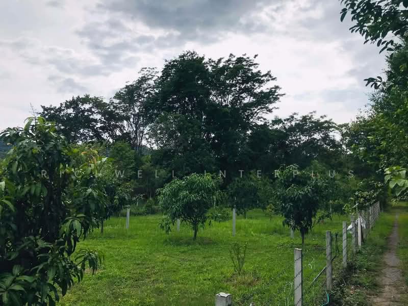 Land for Sale – 110 Sq.w., Filled, Surrounded by Mountain Views, Near Wang Takhrai Waterfall, Nakhon Nayok, Sarika, Muang Nakhon Nayok, Nakhon Nayok, , 440 sqm, Land For Sale, by RICHWELL INTERPLUS, 11846060 - DDproperty.com