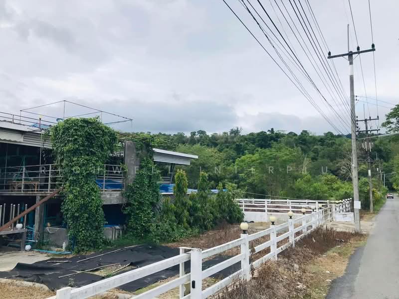Land for Sale – 110 Sq.w., Filled, Surrounded by Mountain Views, Near Wang Takhrai Waterfall, Nakhon Nayok, Sarika, Muang Nakhon Nayok, Nakhon Nayok, , 440 sqm, Land For Sale, by RICHWELL INTERPLUS, 11846060 - DDproperty.com
