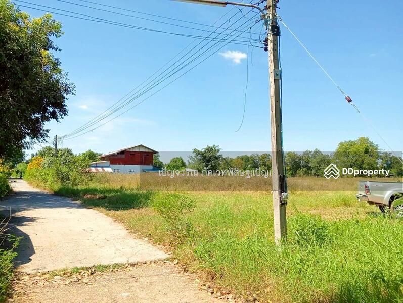 For Sale - DD-733633 Land in Sarabot, 2 rai 238 sq w, Lopburi, near Sarabot Municipality Fresh Market, Lop Buri