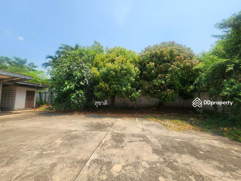 For Sale - อาคารสำนักงาน, Samut Songkhram