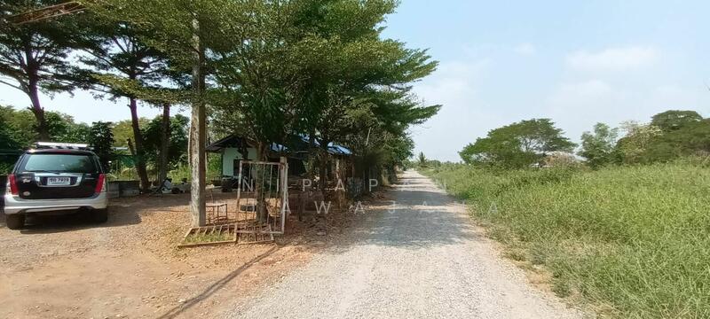 ที่ดินถมแล้วเนื้อที่ 2 ไร่ พร้อมสิ่งปลูกสร้าง และสวนต้นไม้ ถนนร่วมพัฒนา ซอยวิบูลย์สาธุกิจ 12 หนองจอก, กรุงเทพ, ลำต้อยติ่ง, หนองจอก, กรุงเทพ, 3,200 ตร.ม., ที่ดิน ขาย, โดย Nipapan Intawajana, 11847418 - DDproperty.com