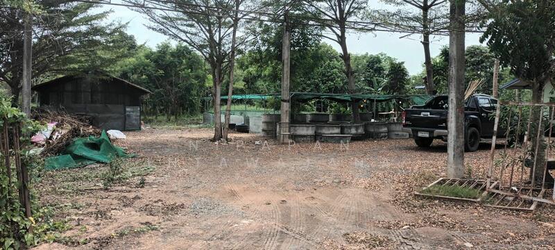 ที่ดินถมแล้วเนื้อที่ 2 ไร่ พร้อมสิ่งปลูกสร้าง และสวนต้นไม้ ถนนร่วมพัฒนา ซอยวิบูลย์สาธุกิจ 12 หนองจอก, กรุงเทพ, ลำต้อยติ่ง, หนองจอก, กรุงเทพ, 3,200 ตร.ม., ที่ดิน ขาย, โดย Nipapan Intawajana, 11847418 - DDproperty.com