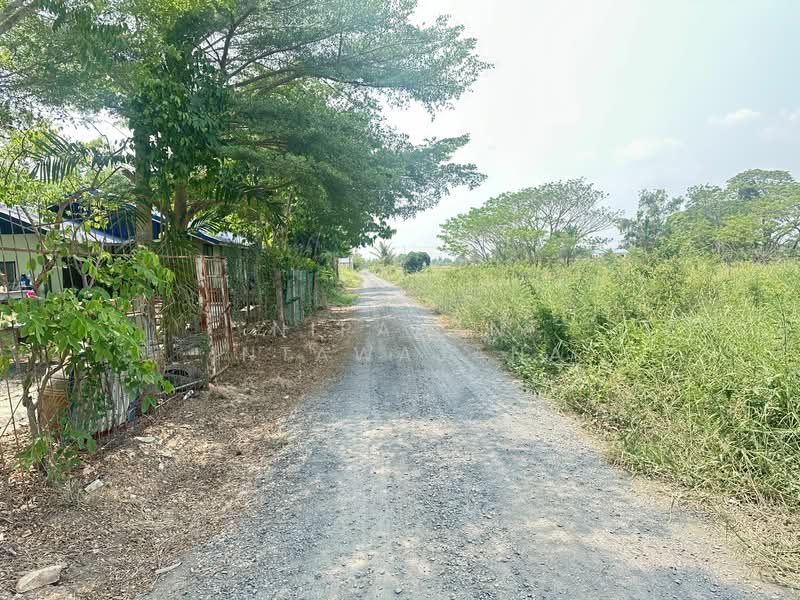 ที่ดินถมแล้วเนื้อที่ 2 ไร่ พร้อมสิ่งปลูกสร้าง และสวนต้นไม้ ถนนร่วมพัฒนา ซอยวิบูลย์สาธุกิจ 12 หนองจอก, กรุงเทพ, ลำต้อยติ่ง, หนองจอก, กรุงเทพ, 3,200 ตร.ม., ที่ดิน ขาย, โดย Nipapan Intawajana, 11847418 - DDproperty.com