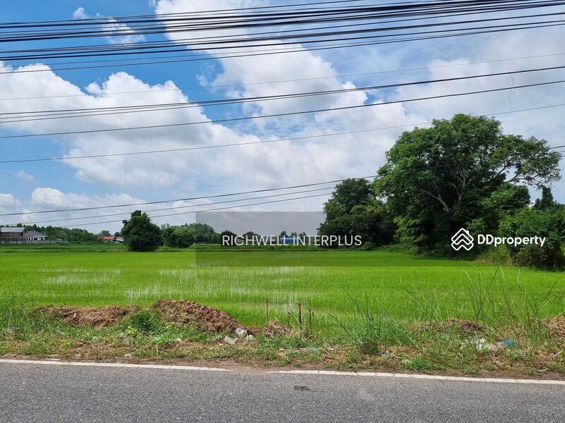 For Sale - Land for Sale (Subdividable) – Phrommanee, Nakhon Nayok, Nakhon Nayok