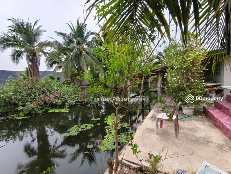 ขาย - บ้านเดี่ยวพร้อมที่ดินสามพราน นครปฐม, นครปฐม