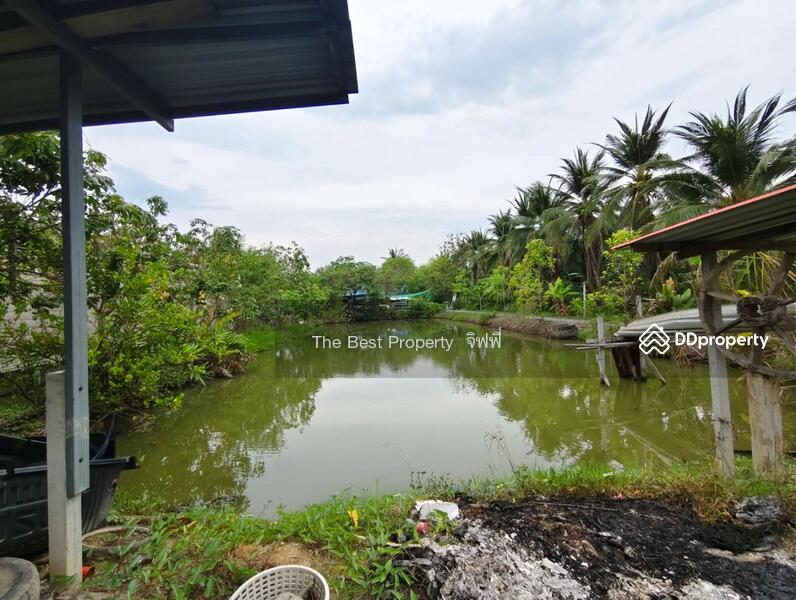 ขาย - บ้านเดี่ยวพร้อมที่ดินสามพราน นครปฐม, นครปฐม