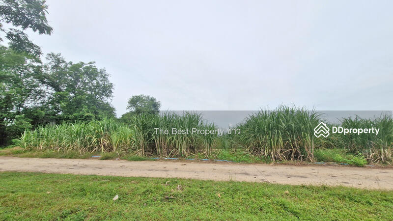 For Sale - ที่ดินตากฟ้า นครสวรรค์, Nakhon Sawan