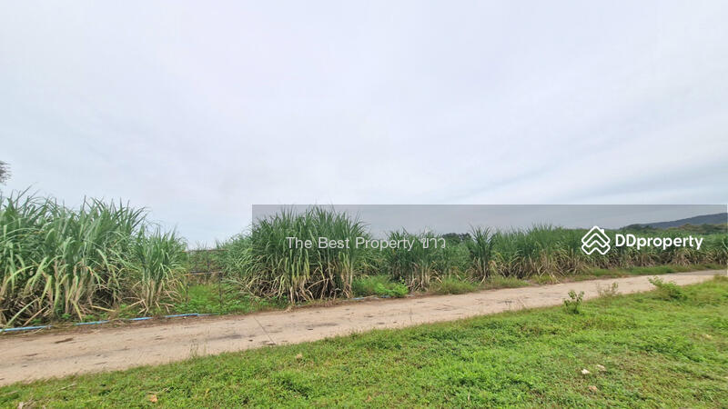 For Sale - ที่ดินตากฟ้า นครสวรรค์, Nakhon Sawan
