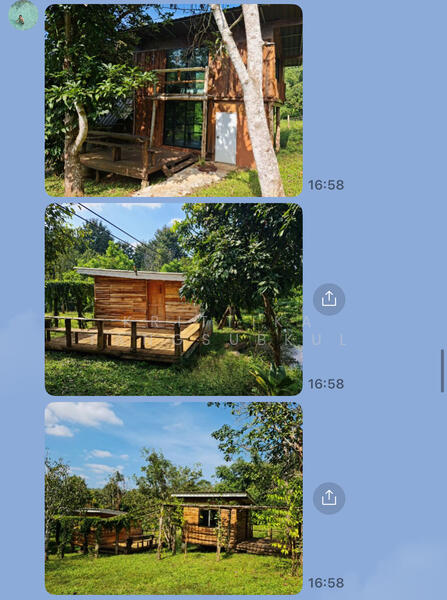 ขาย - ที่ดินสะเมิง, เชียงใหม่