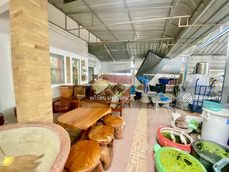 ขาย - ขายตึกแถวพร้อมบ้านเดี่ยวสองชั้น, หนองคาย