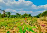 ที่ดินกบินทร์บุรี ปราจีนบุรี - DDproperty.com