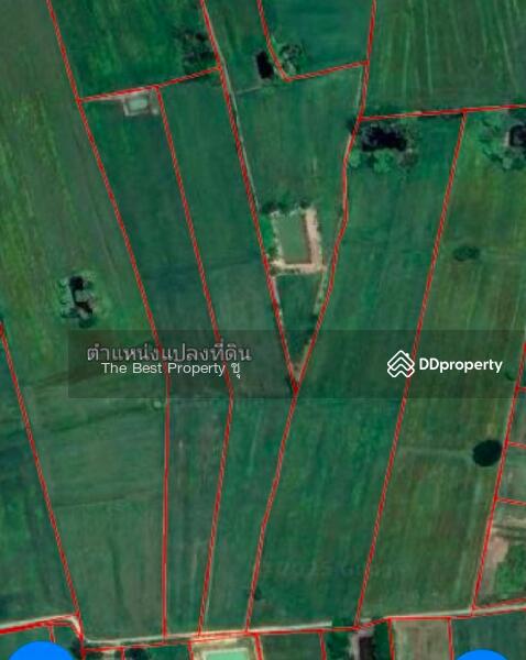 For Sale - ที่ดินเมืองยาง นครราชสีมา, Nakhon Ratchasima