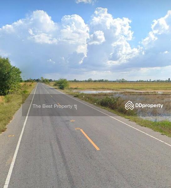 ขาย - ที่ดินเมืองยาง นครราชสีมา, นครราชสีมา