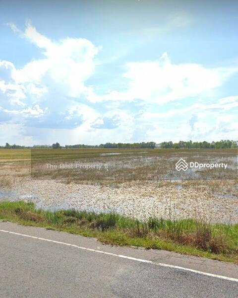 ขาย - ที่ดินเมืองยาง นครราชสีมา, นครราชสีมา