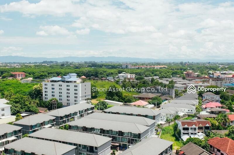 ให้เช่า - The Prio Signature Condo : เดอะ พรีโอ ซิกเนเจอร์, เชียงใหม่