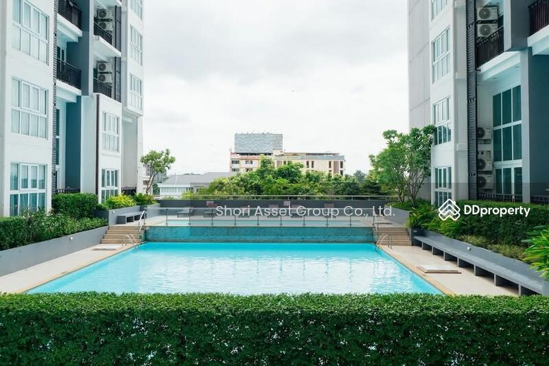 ให้เช่า - The Prio Signature Condo : เดอะ พรีโอ ซิกเนเจอร์, เชียงใหม่