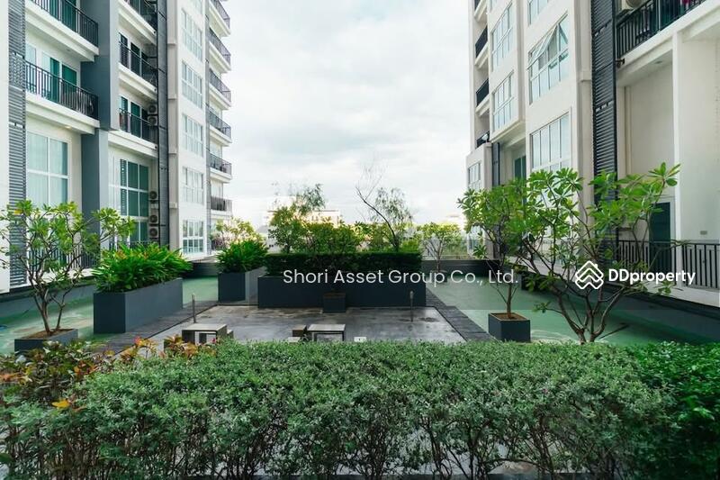 ให้เช่า - The Prio Signature Condo : เดอะ พรีโอ ซิกเนเจอร์, เชียงใหม่