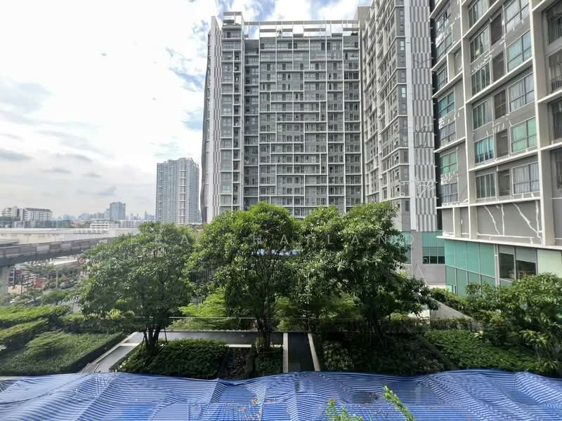 IDEO MOBI Sukhumvit 81 : ไอดีโอ โมบิ สุขุมวิท 81, กรุงเทพ, 2097 ถนนสุขุมวิท แขวงบางจาก เขตพระโขนง กรุงเทพมหานคร, บางจาก, พระโขนง, กรุงเทพ, 31 ตร.ม., คอนโด ขาย, โดย ERA Thailand, 11850084 - DDproperty.com