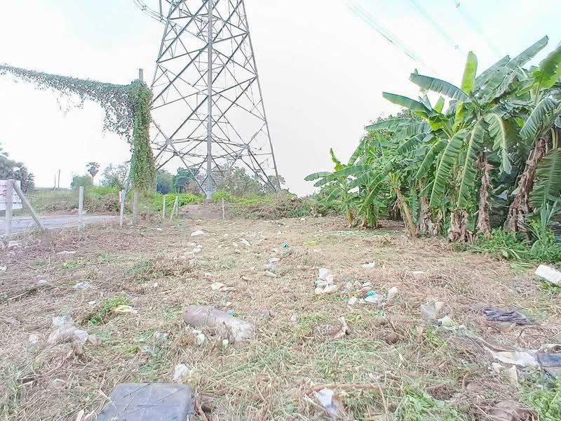 ขาย/เช่า ที่ดินถมแล้ว หมู่บ้านฉัตรหลวง เนื้อที่ 120 ตรว. อ.ไทรน้อย จ.นนทบุรี, นนทบุรี, ไทรน้อย, ไทรน้อย, นนทบุรี, 480 ตร.ม., ที่ดิน ขาย, โดย ชนะชาติ นนท์ตา, 11850310 - DDproperty.com