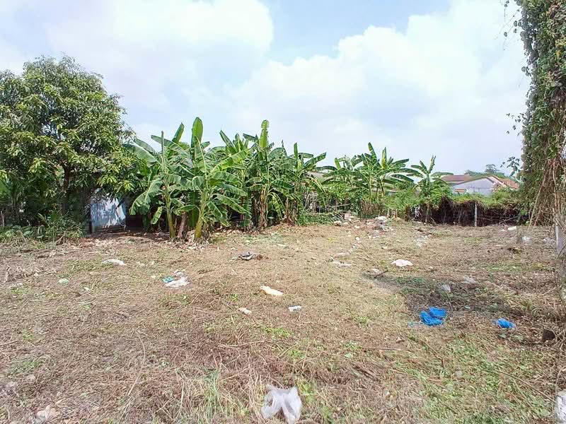 ขาย/เช่า ที่ดินถมแล้ว หมู่บ้านฉัตรหลวง เนื้อที่ 120 ตรว. อ.ไทรน้อย จ.นนทบุรี, Nonthaburi, Sai Noi, Sai Noi, Nonthaburi, , 480 sqm, Land For Sale, by ชนะชาติ นนท์ตา, 11850310 - DDproperty.com