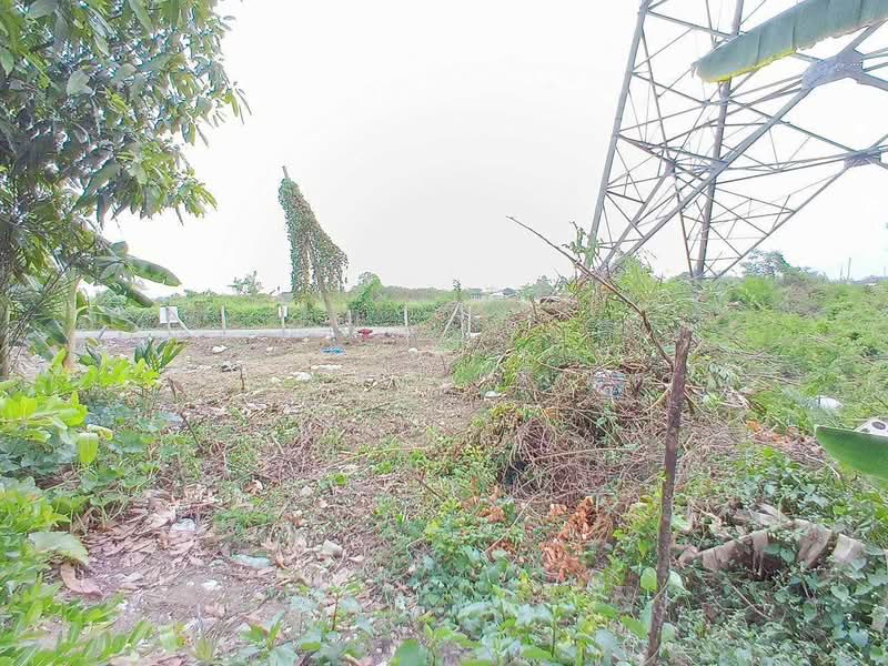 ขาย/เช่า ที่ดินถมแล้ว หมู่บ้านฉัตรหลวง เนื้อที่ 120 ตรว. อ.ไทรน้อย จ.นนทบุรี, นนทบุรี, ไทรน้อย, ไทรน้อย, นนทบุรี, 480 ตร.ม., ที่ดิน ขาย, โดย ชนะชาติ นนท์ตา, 11850310 - DDproperty.com