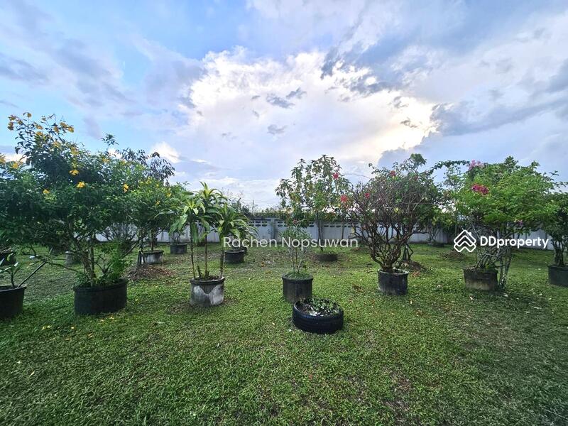For Sale - 2-storey detached house with land, Ban Phru, for sale 5.5 million baht, Songkhla