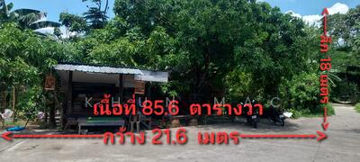 ขาย - ที่ดิน 85.6 ตารางวา ตำบลปากแพรก อำเภอทุ่งส่ง ใกล้โรงเรียนเทศบาลบ้านนาเหนือ, นครศรีธรรมราช