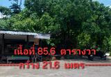 ที่ดิน 85.6 ตารางวา ตำบลปากแพรก อำเภอทุ่งส่ง ใกล้โรงเรียนเทศบาลบ้านนาเหนือ - DDproperty.com