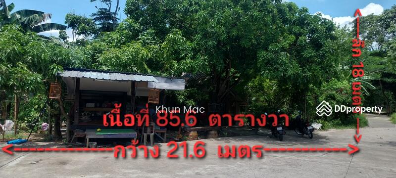 For Sale - Land for sales in Pak Phraek , Thung Song District, Nakhon Si Thammarat, Nakhon Si Thammarat