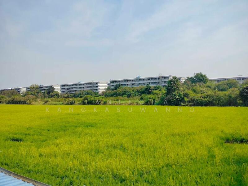 โครงการมายด์ฮอฟฟ์ ร่มเกล้า -สุวรรณภูมิ (Mind Hof Romklao-Suvarnabhumi ), กรุงเทพ, ถนนร่มเกล้า, คลองสองต้นนุ่น, ลาดกระบัง, กรุงเทพ, 195 ตร.ม., ทาวน์เฮ้าส์ ให้เช่า, โดย Thanitcha Kangkasuwanno, 11850649 - DDproperty.com