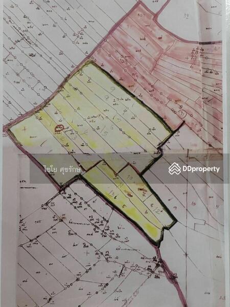For Sale - Land for sale, empty land, rice field next to Wat Prachasamnuk, connecting to Buriram Province, 152, Buri Ram