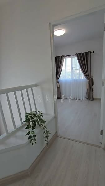 Prueklada Rangsit Klong 4 : พฤกษ์ลดา รังสิต คลอง 4, ปทุมธานี, ถนน ไสวประชาราษฎร์, ลาดสวาย, ลำลูกกา, ปทุมธานี, 145 ตร.ม., บ้านเดี่ยว ขาย, โดย Connex Property, 11851182 - DDproperty.com