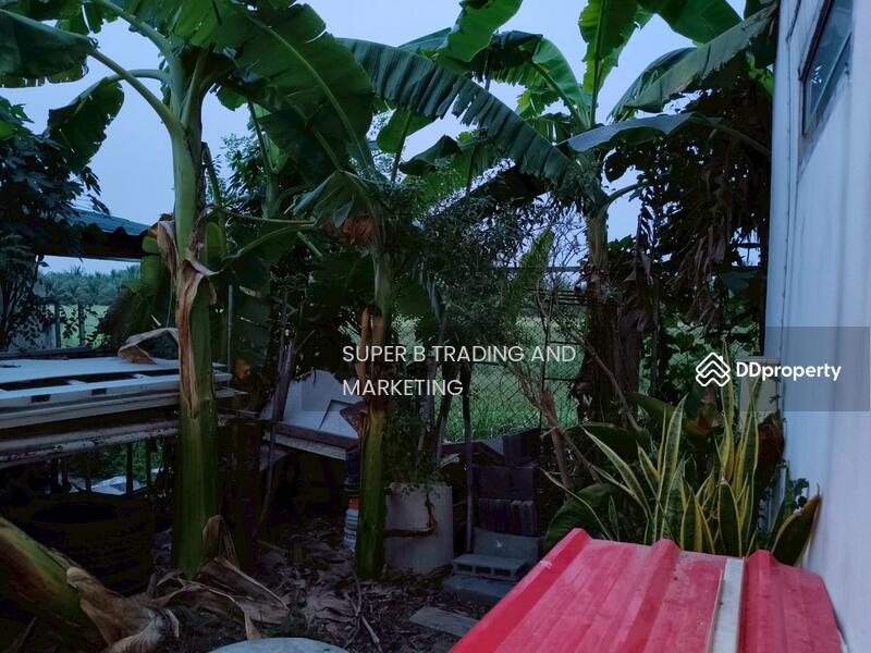 For Sale - House for sale 50 sq.w., Sudarat Village, Klong 7, Nong Sue, Pathum Thani, Pathum Thani