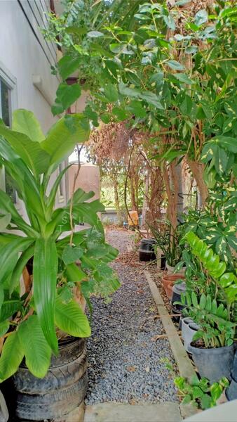 For Sale - House for sale 50 sq.w., Sudarat Village, Klong 7, Nong Sue, Pathum Thani, Pathum Thani