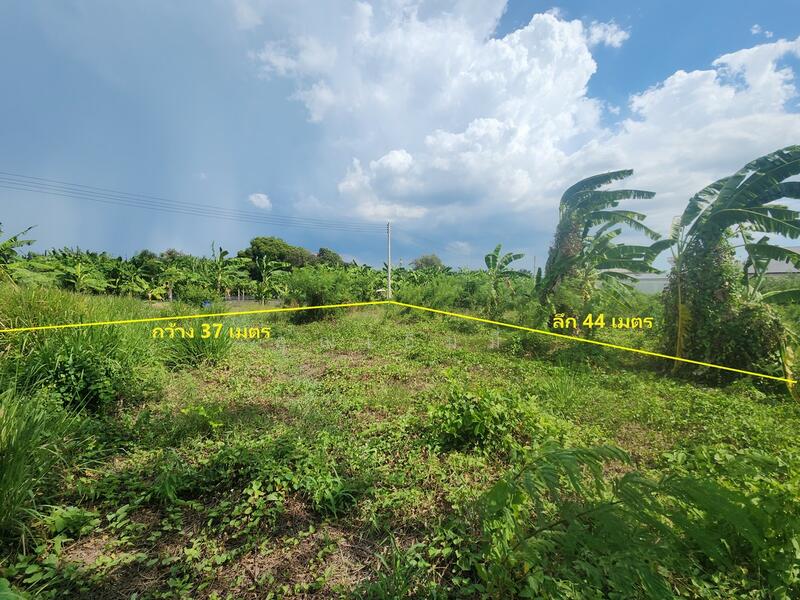 For Sale - ขายที่ดินเปล่า 1 ไร่ เมืองนครปฐม ธรรมศาลา ใกล้วัดพระประโทน ห่างถนนเพชรเกษม 800 ม. ผังเมืองสีชมพู, Nakhon Pathom