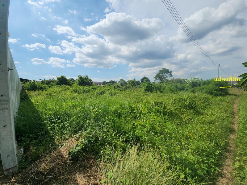 ขายที่ดินเปล่า 1 ไร่ เมืองนครปฐม ธรรมศาลา ใกล้วัดพระประโทน ห่างถนนเพชรเกษม 800 ม. ผังเมืองสีชมพู, นครปฐม, ธรรมศาลา, เมืองนครปฐม, นครปฐม, 1,600 ตร.ม., ที่ดิน ขาย, โดย คุณเอ็มมี่, 11851830 - DDproperty.com