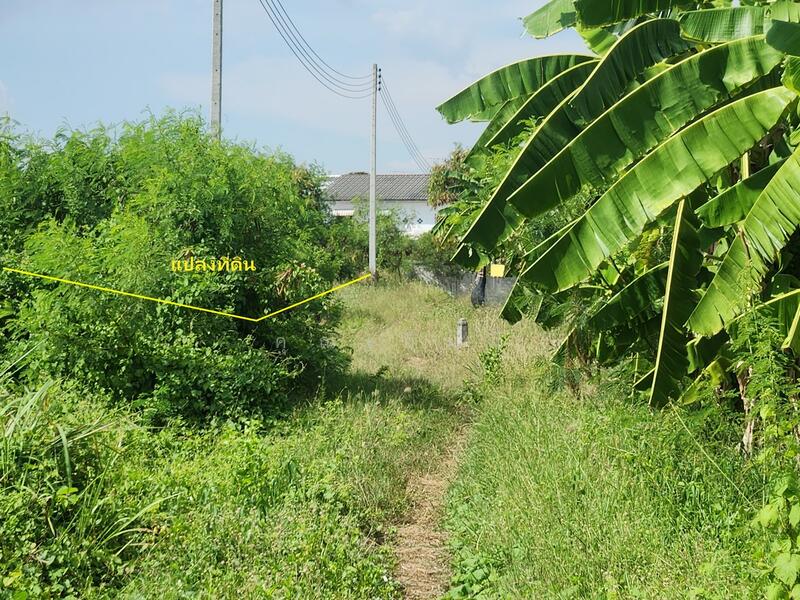 ขายที่ดินเปล่า 1 ไร่ เมืองนครปฐม ธรรมศาลา ใกล้วัดพระประโทน ห่างถนนเพชรเกษม 800 ม. ผังเมืองสีชมพู, นครปฐม, ธรรมศาลา, เมืองนครปฐม, นครปฐม, 1,600 ตร.ม., ที่ดิน ขาย, โดย คุณเอ็มมี่, 11851830 - DDproperty.com