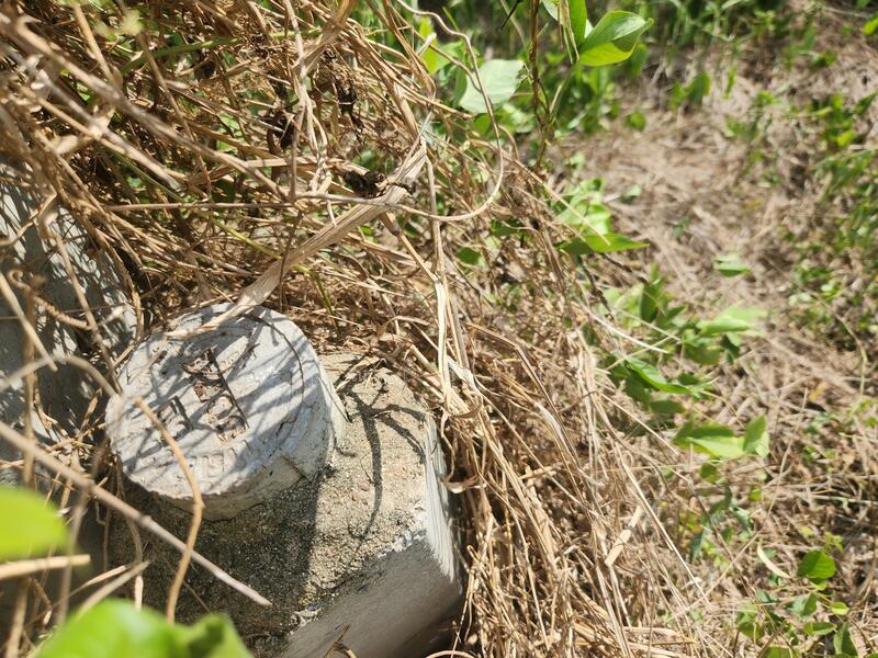ขายที่ดินเปล่า 1 ไร่ เมืองนครปฐม ธรรมศาลา ใกล้วัดพระประโทน ห่างถนนเพชรเกษม 800 ม. ผังเมืองสีชมพู, นครปฐม, ธรรมศาลา, เมืองนครปฐม, นครปฐม, 1,600 ตร.ม., ที่ดิน ขาย, โดย คุณเอ็มมี่, 11851830 - DDproperty.com