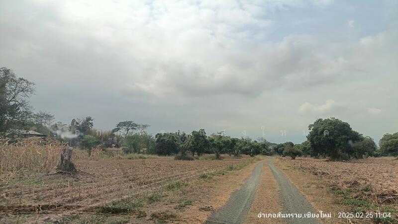 For Sale - San Sai, Chiang Mai