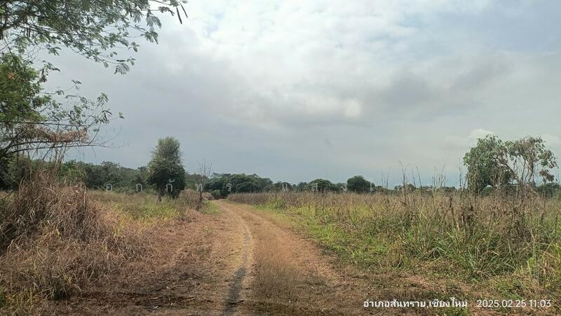 For Sale - San Sai, Chiang Mai