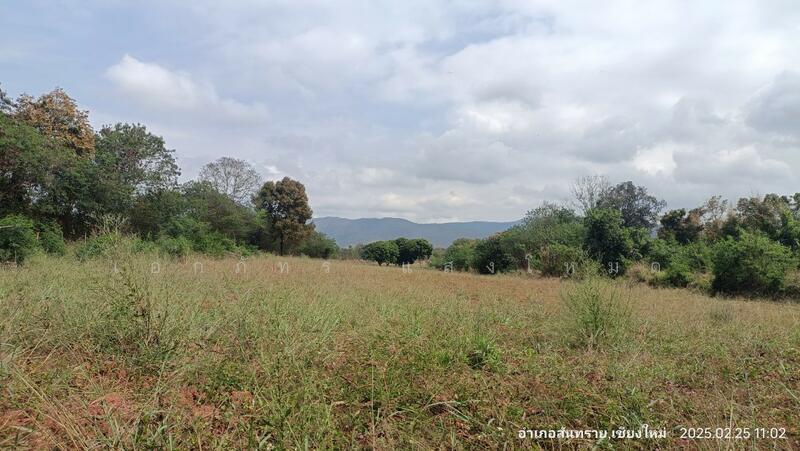 For Sale - San Sai, Chiang Mai