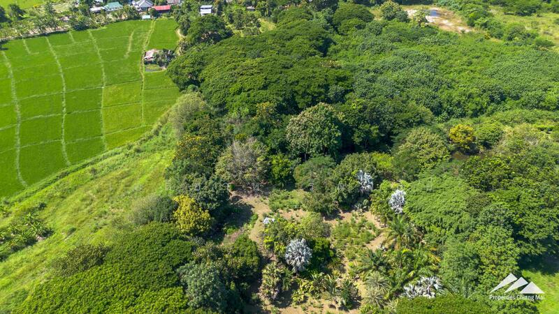 ขาย - ขายที่ดินเปล่า 7.5 ไร่ หางดง, เชียงใหม่