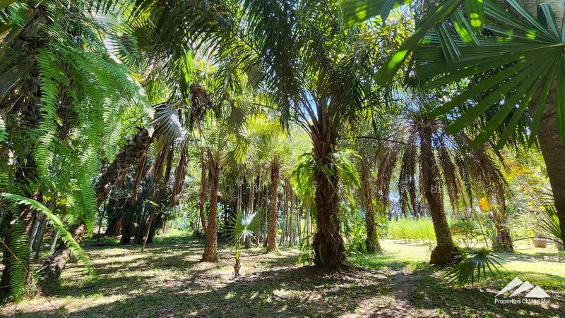 ขาย - ขายที่ดินเปล่า 7.5 ไร่ หางดง, เชียงใหม่