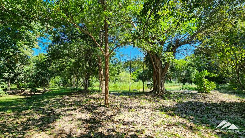 ขาย - ขายที่ดินเปล่า 7.5 ไร่ หางดง, เชียงใหม่