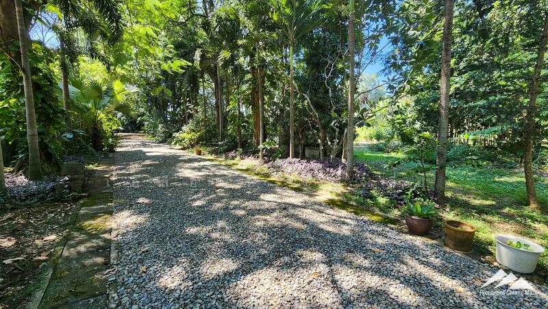 ขาย - ขายที่ดินเปล่า 7.5 ไร่ หางดง, เชียงใหม่