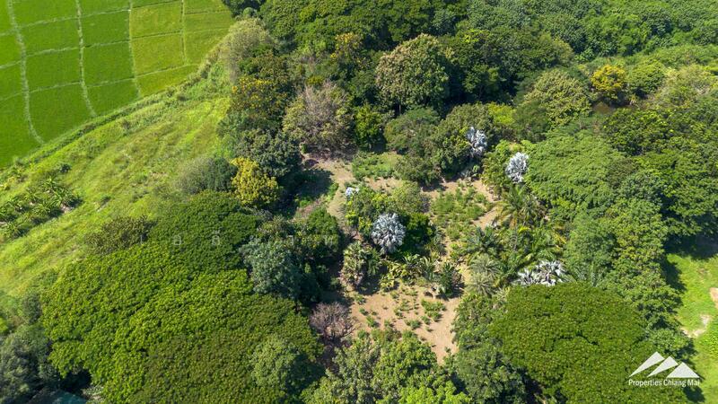 ขาย - ขายที่ดินเปล่า 7.5 ไร่ หางดง, เชียงใหม่